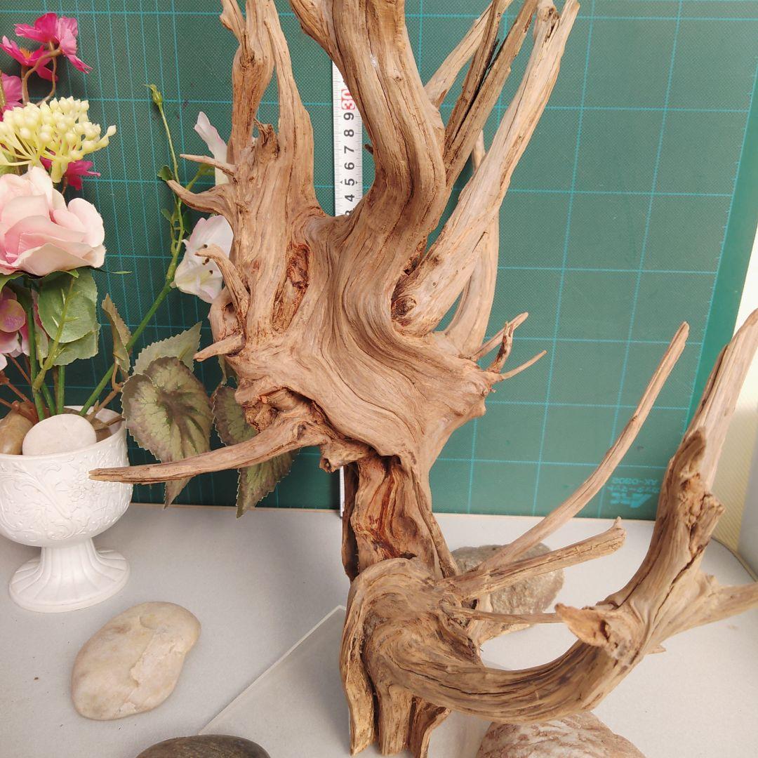 ８３１ホーンウッド灰汁抜き硬質水槽用流木 自然な枝状 約42cm964g