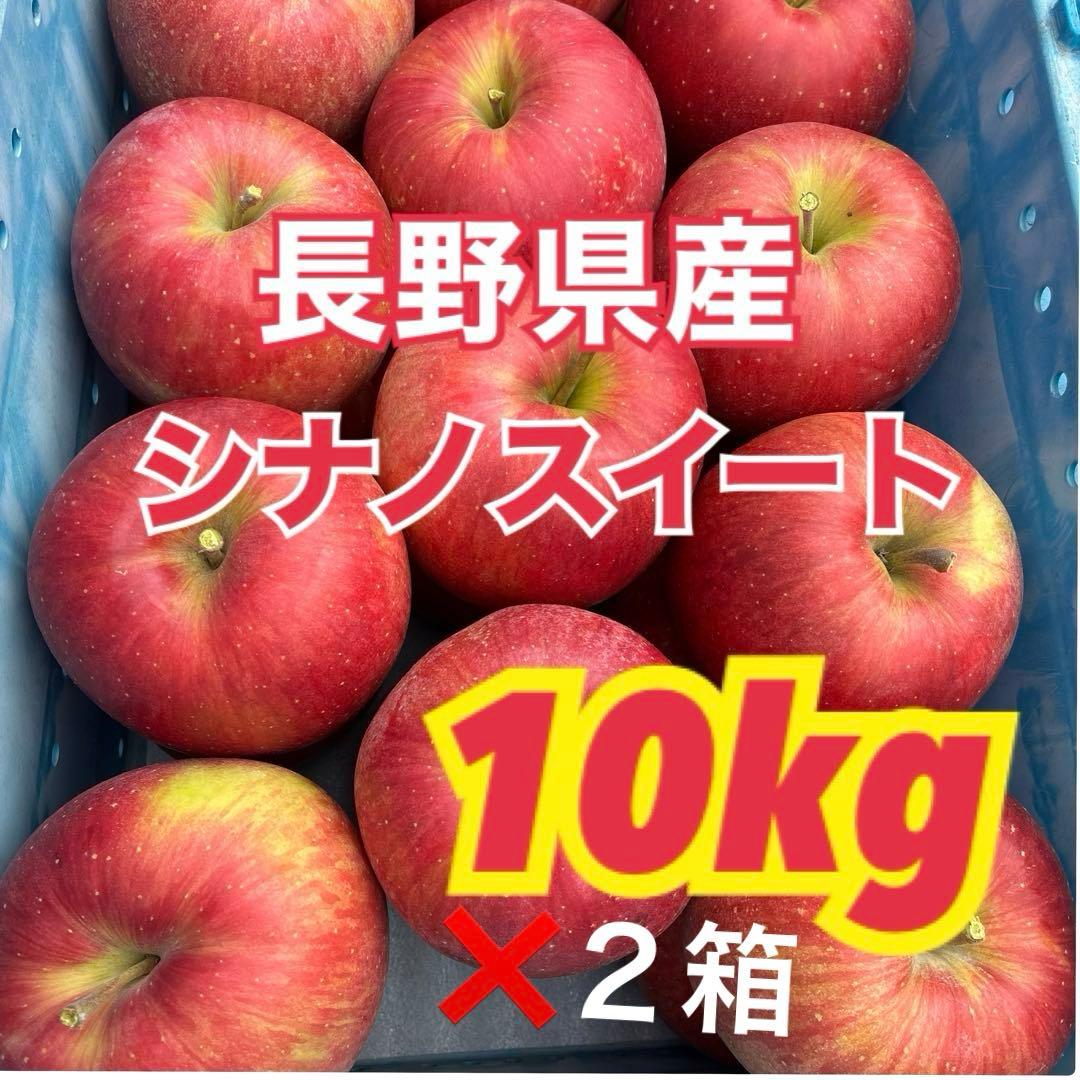 1番大特価‼️長野県産シナノスイート新鮮りんご♪家庭用新鮮採れたて！安くて甘い