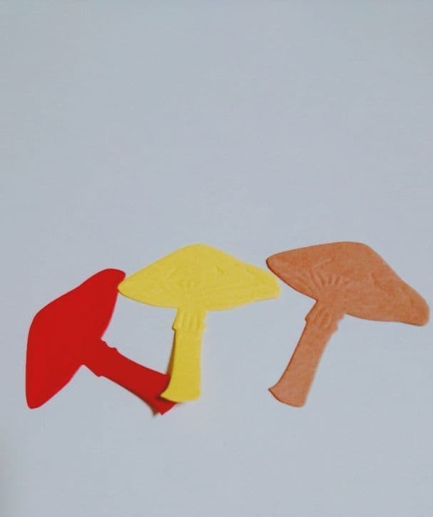 クラフトパンチ キノコ オーダー受付中(*´∇｀)！！