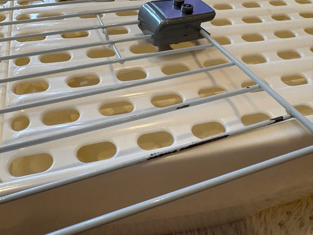 イージーホーム80 エボ ホワイト　おまけ付き(かじり木(大中小)、ボール)