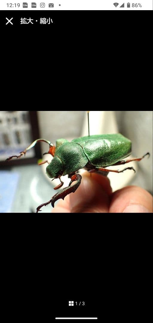 まとめ売り専用