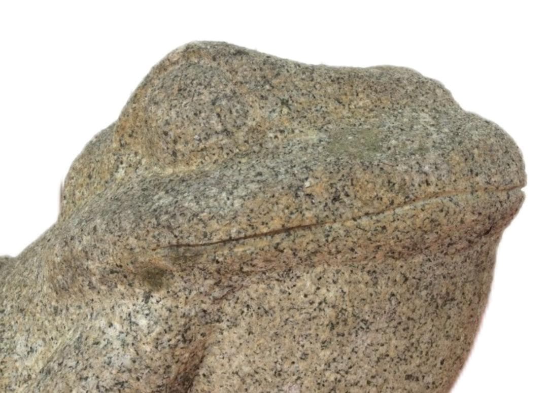 御影石の蛙石像 蛙の石彫刻 置物 オブジェ かえる 庭石 庭園 飾り