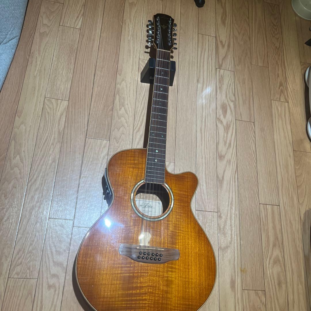 Aria 12弦 エレアコ FET12 KORG slimpitchおまけ