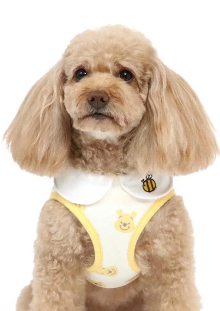 ペットパラダイス 犬