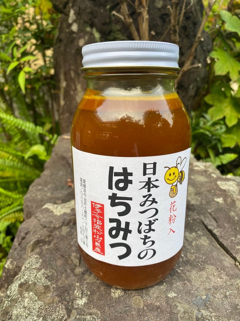 はちみつ　日本蜜蜂のハチミツ　花粉入り蜂蜜