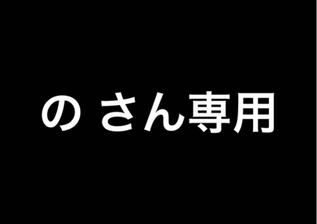 （らいすさん専用）バドミントンラケット フライパワー メテオ