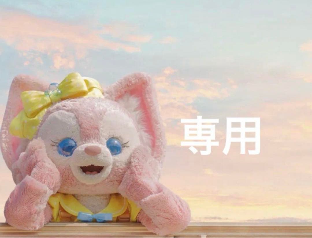 専用ページ　ぬいぐるみSS*1 キーチェーン*2