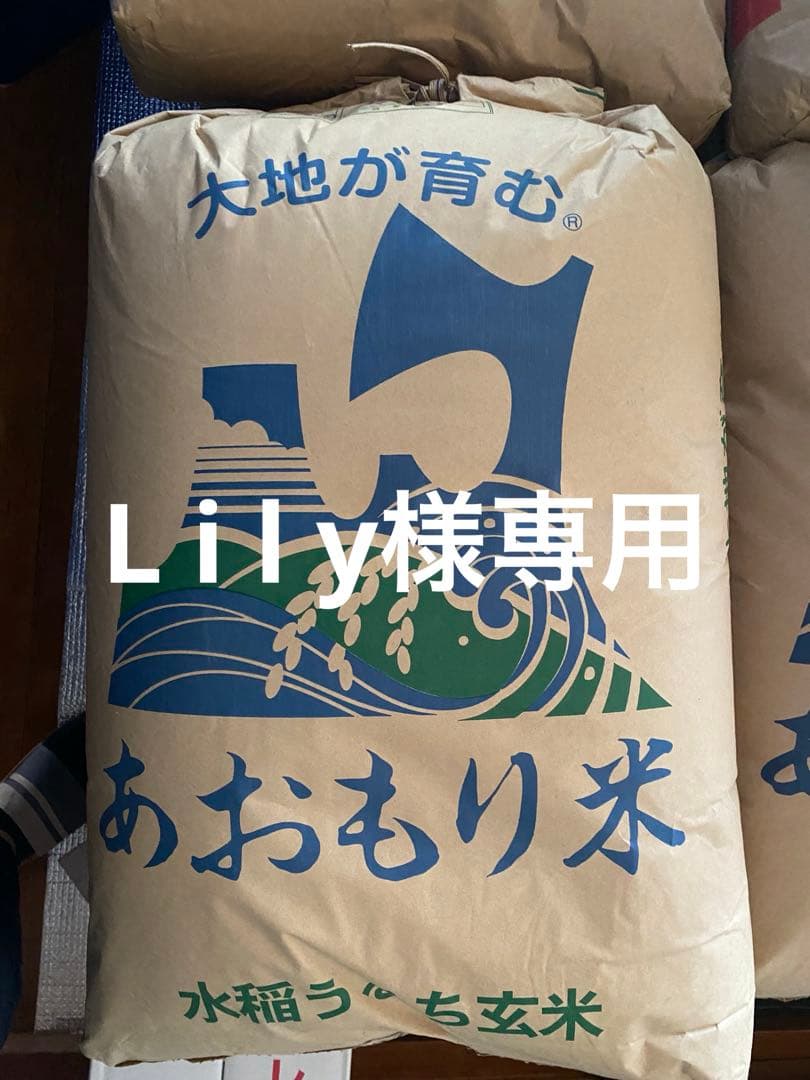 専用出品 青森県産　ブランド米　まっしぐら　精米済み　農家直送　20キロ