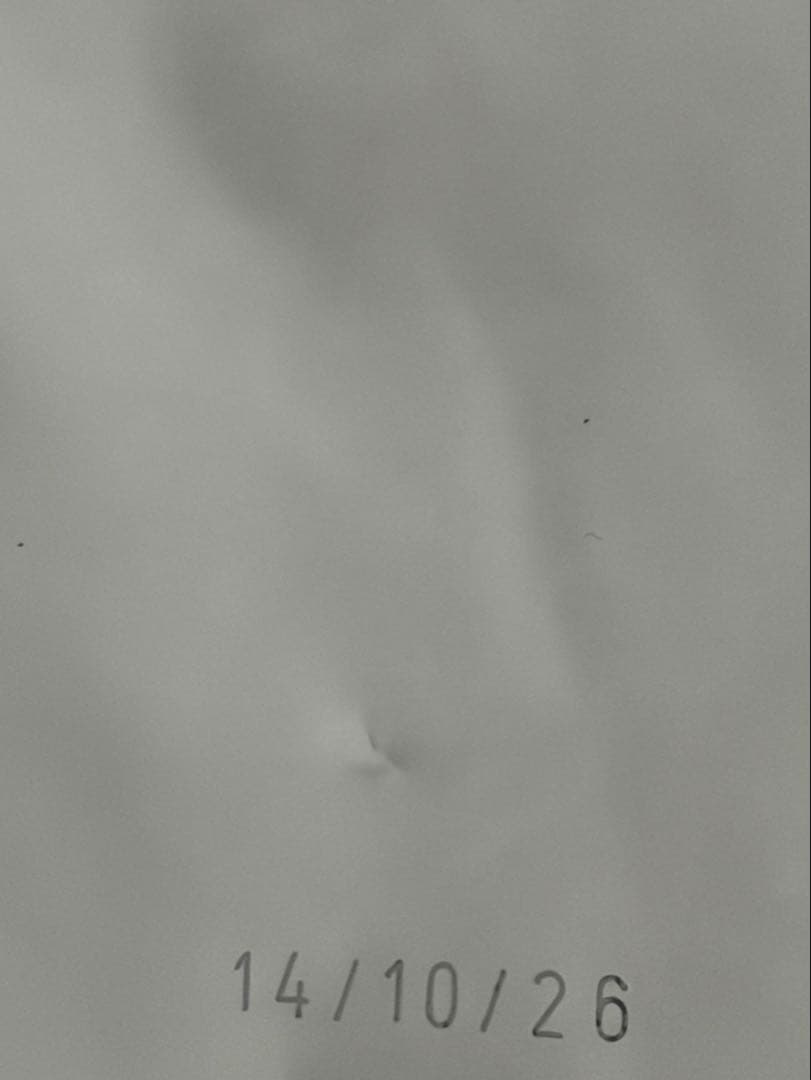 【専用】ロイヤルカナン ミディアムパピー１6キロ