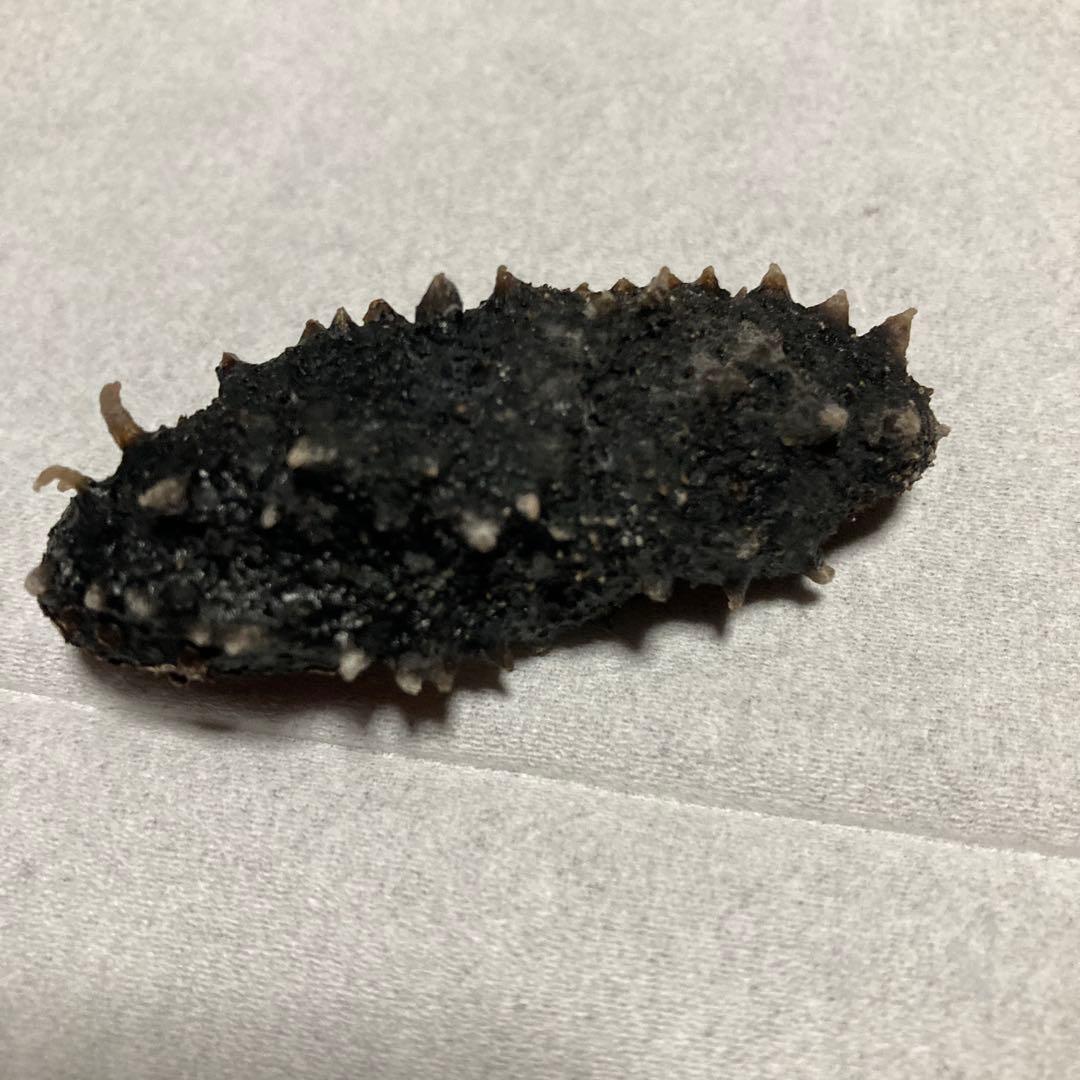#黒い海鼠（加工食品）北海道産黒ナマコ