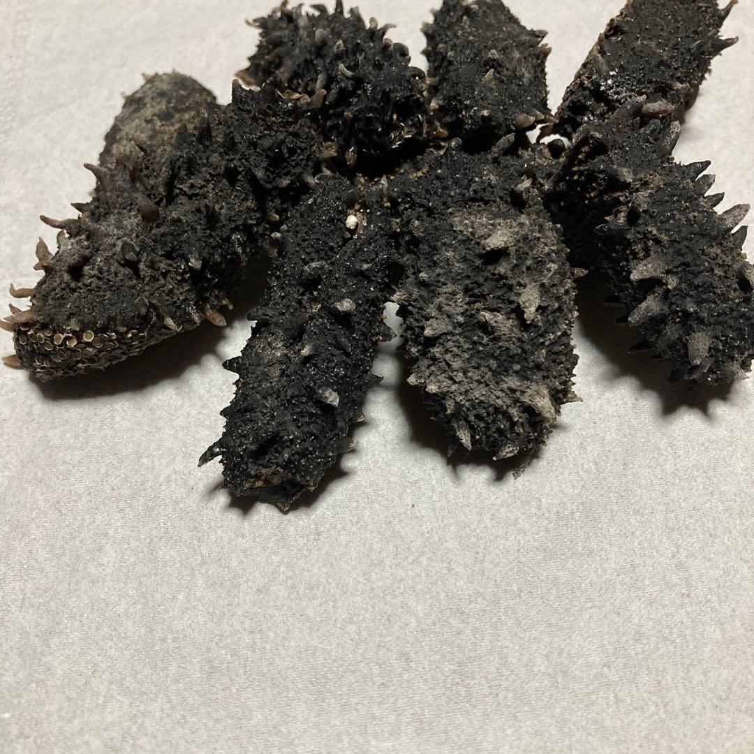 #黒い海鼠（加工食品）北海道産黒ナマコ