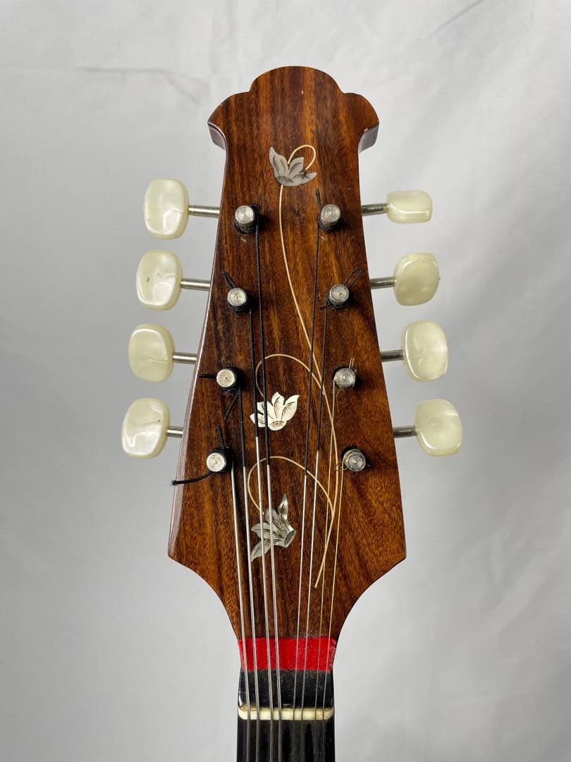 ラファエル・カラーチェ TYPE.15 ラウンドマンドリン