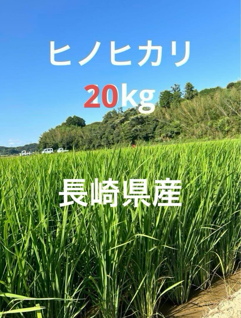 Babyさん専用　ヒノヒカリ　20kg