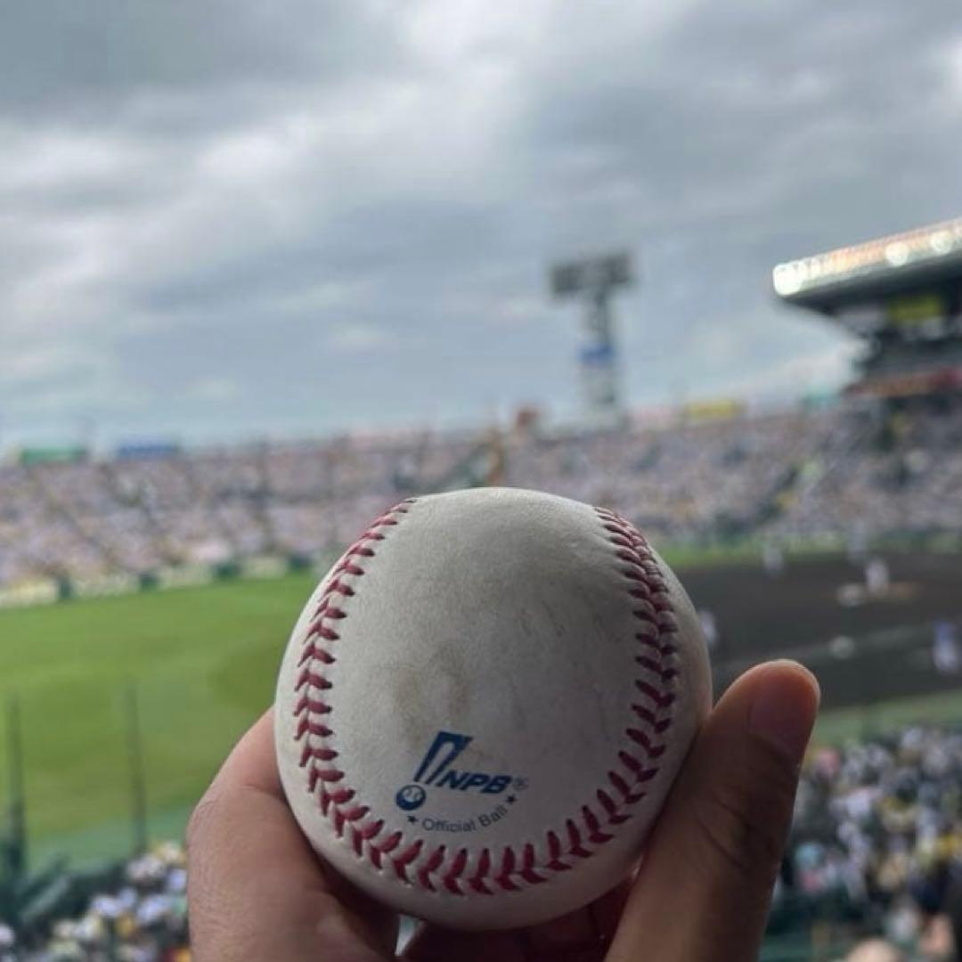 髙橋宏人vs中野拓夢　ファウルボール　阪神　中日