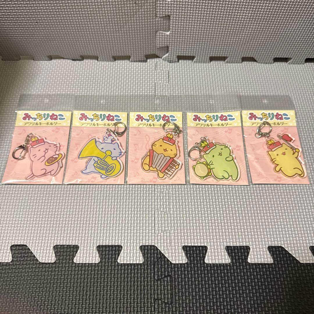 みっちりねこ　アクリルキーホルダー5点セット