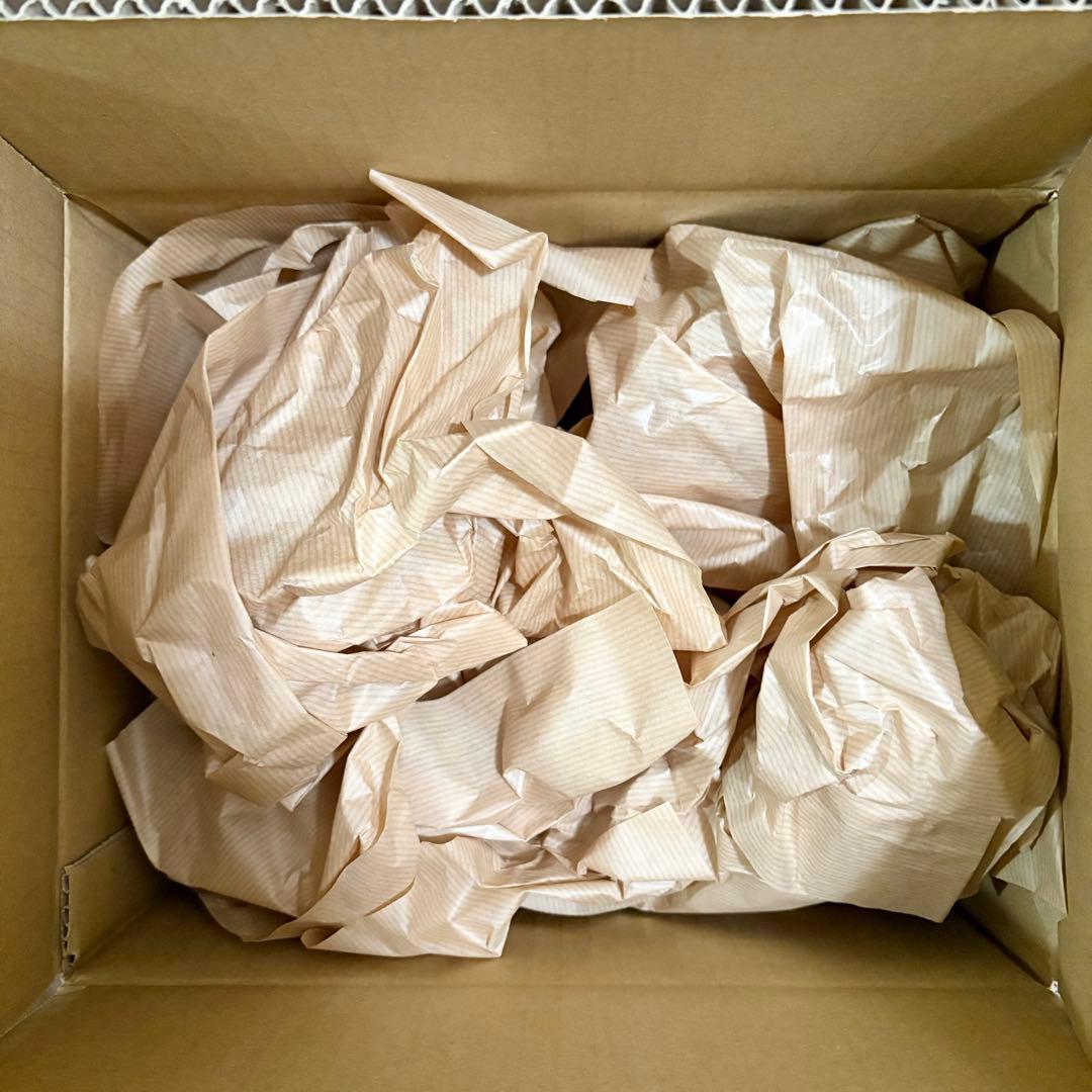 安楽安作 デストロイア(ゴジラVSデストロイア版) 新品未開封