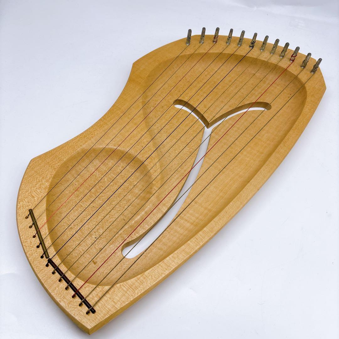 アウリス（AURIS）ライアーダイヤトニック１２弦