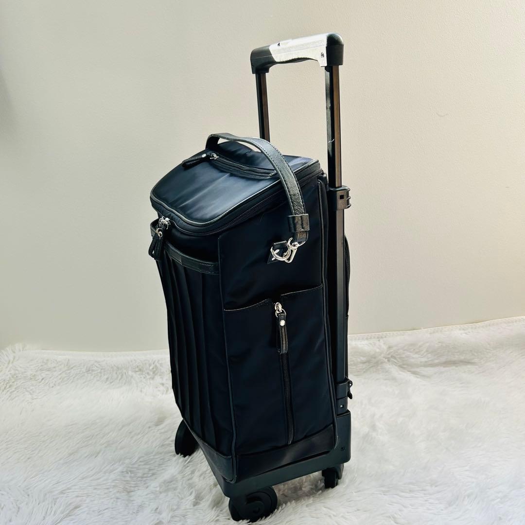 美品⭐︎スワニー キャリーバッグ リニーエ3 L21 ストッパー付 D-550