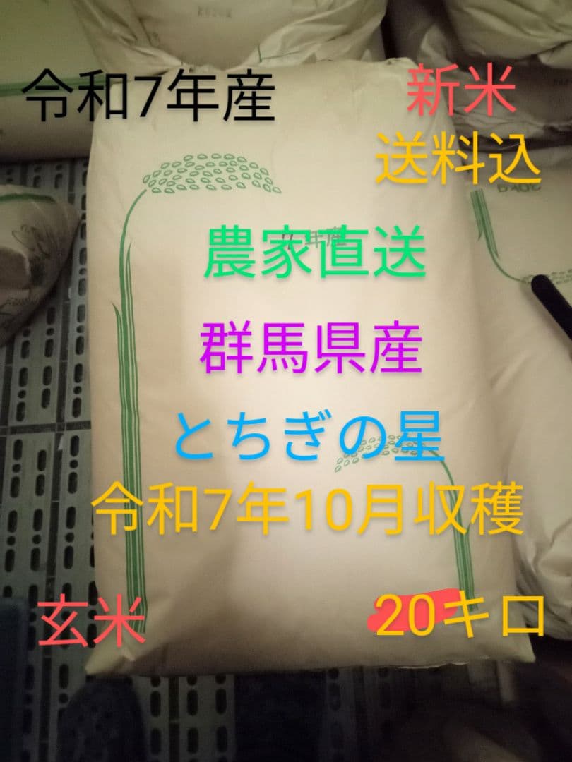 R7年産 新米 群馬県産 とちぎの星 20キロ 玄米 送料込 ①
