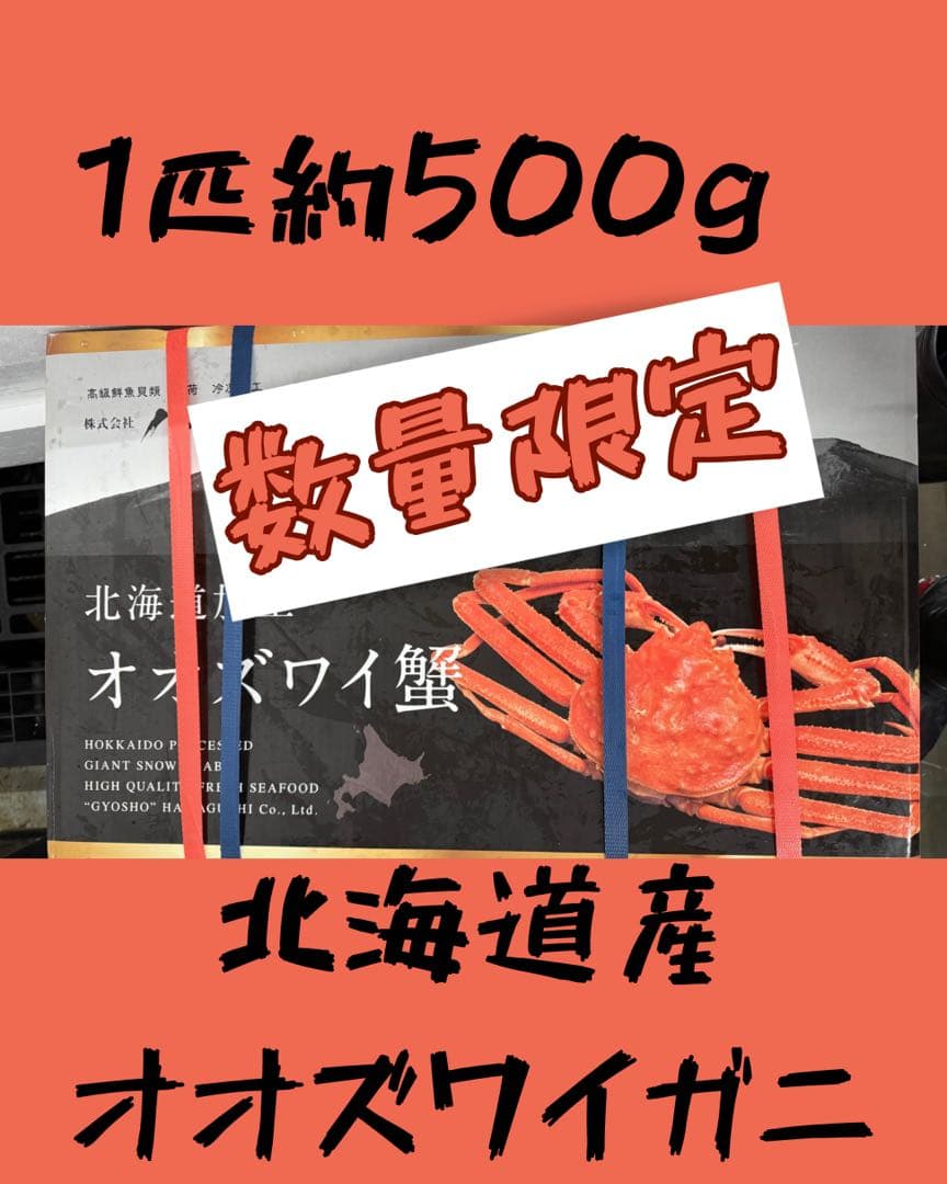 北海道産ボイルオオズワイ！特大！　冷凍　500g前後　3k6匹入
