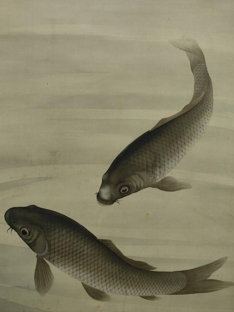 真作/西村圭文/遊鯉図/双鯉図/布袋屋掛軸A-707