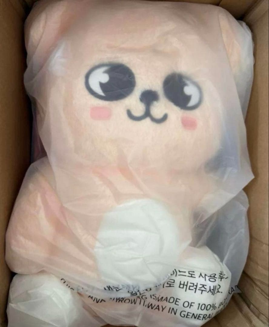 特典付き★StrayKids SKZOOスンミン テディ パピーム ぬいぐるみ