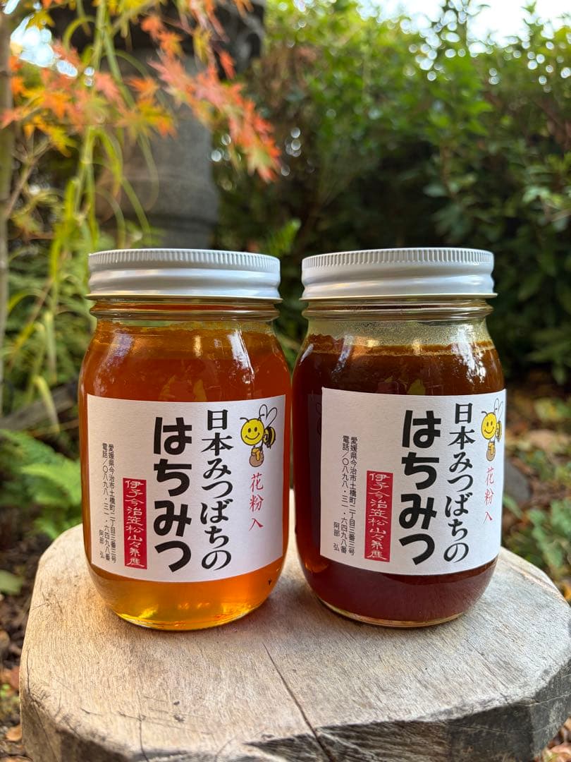 はちみつ　日本蜜蜂のハチミツ　奥山の蜂蜜　花粉入り　谷違い巣箱違いの２種