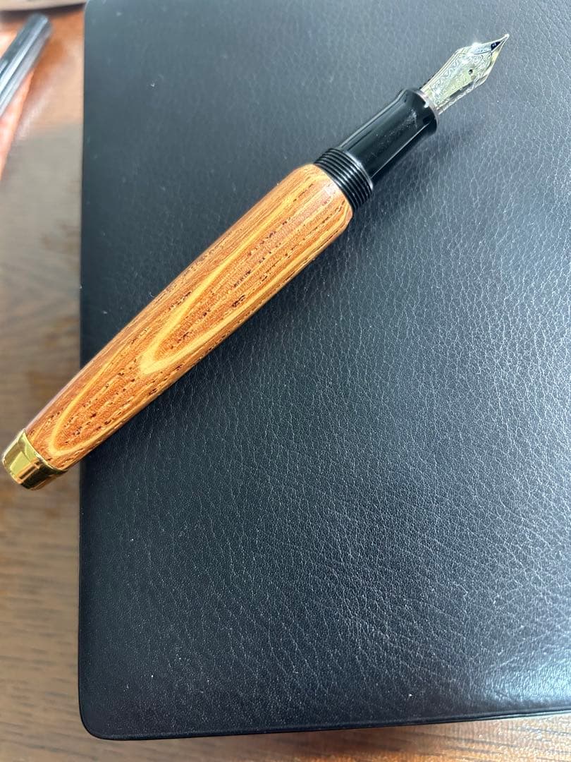 パイロット　pilot 万年筆　日高晤郎　北海道限定　希少モデル　筆記確認済み