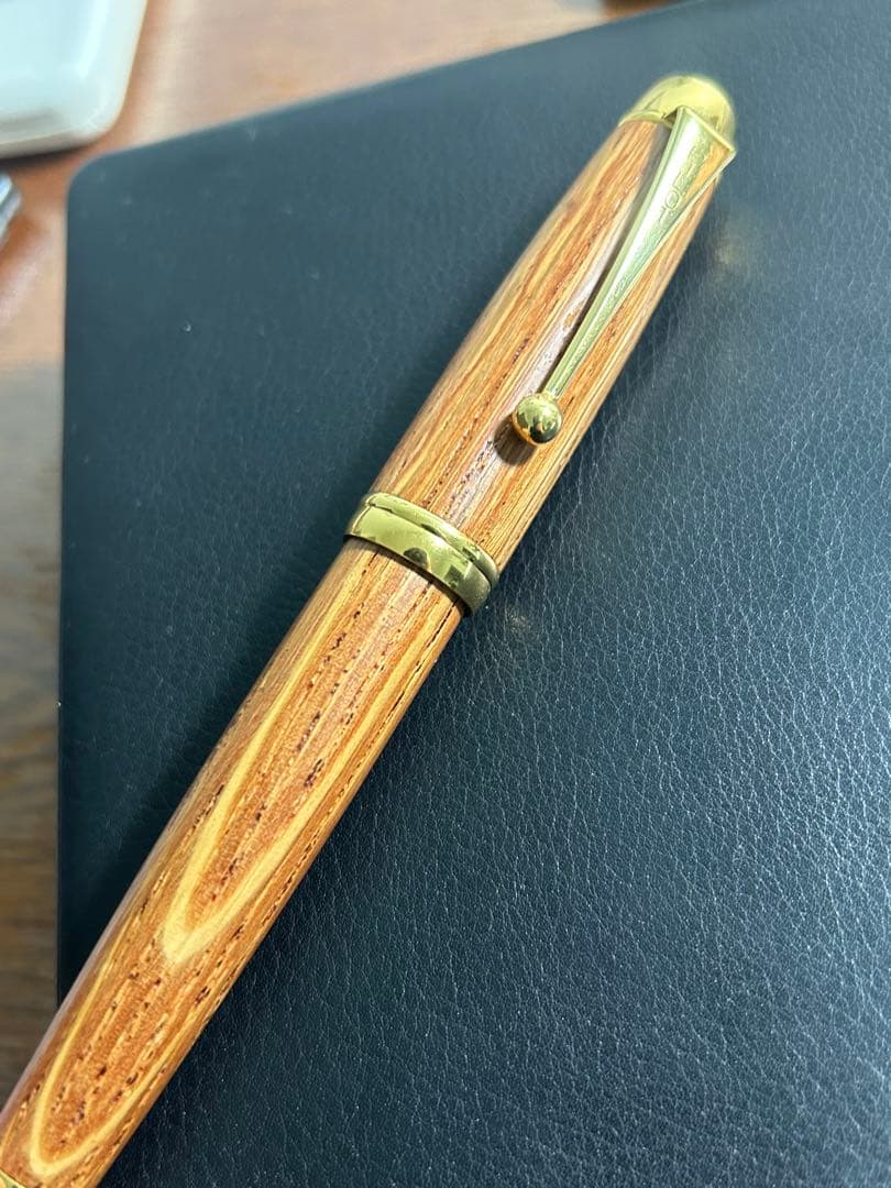 パイロット　pilot 万年筆　日高晤郎　北海道限定　希少モデル　筆記確認済み