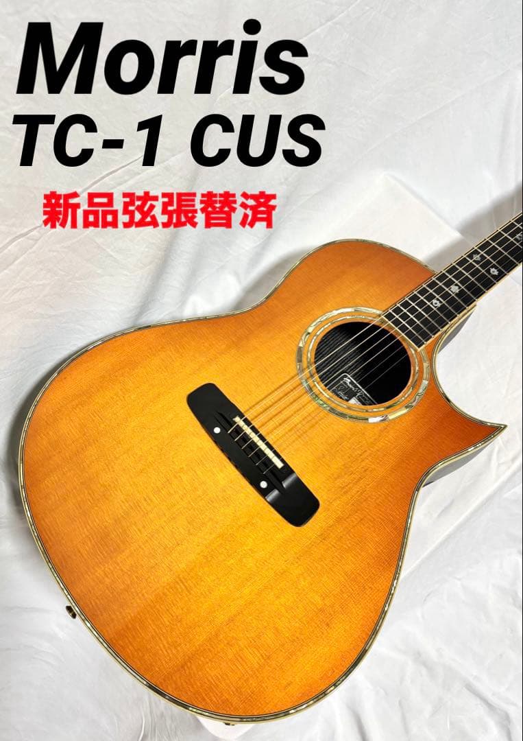 【新品弦張替済】Morris エレアコ TC-1 CUS