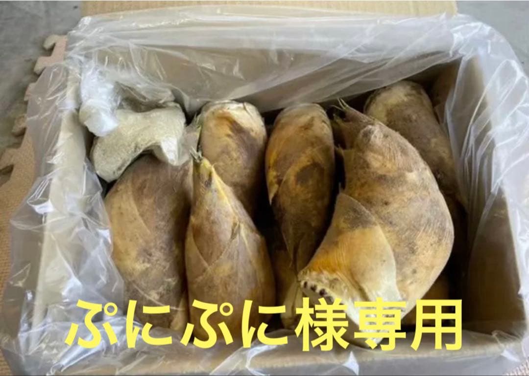 京都府山城産白子タケノコ6キロ