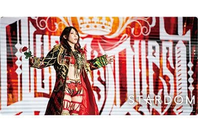 STARDOM ラバーマットコレクション&スリーブ 13点セット