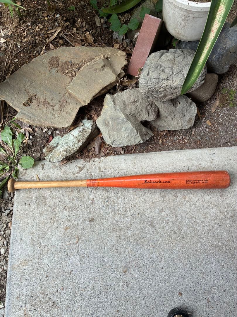 Ballpark.com 木製トレーニングバット