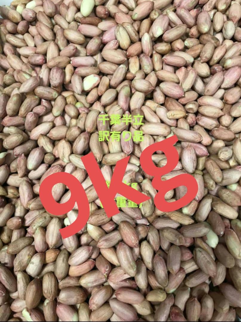 農家直送千葉生落花生訳あり品9kg