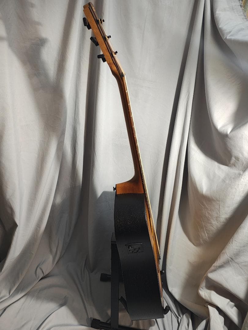 LAG-T70DCE エレアコ サンバースト