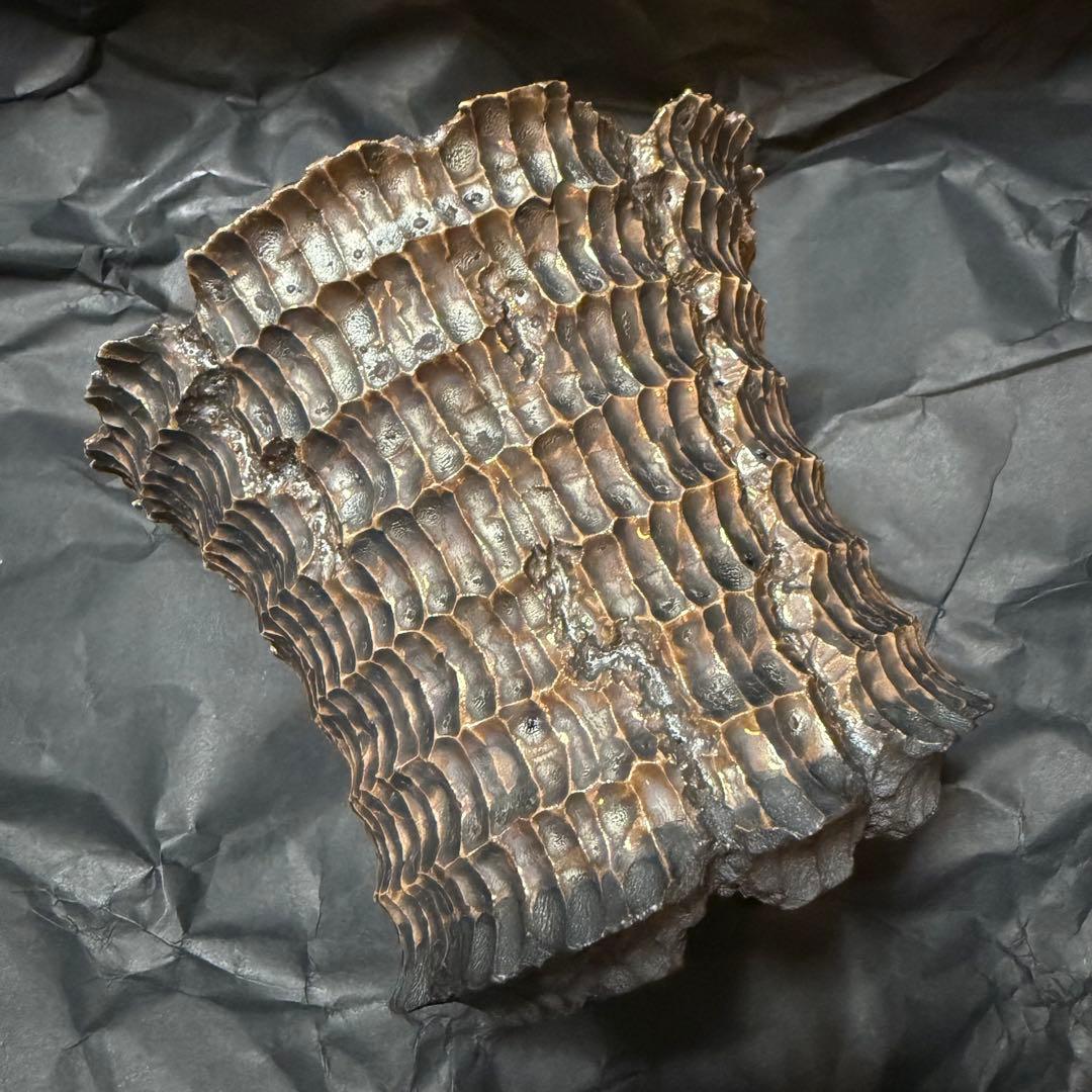 raw life factory RLF invisible ink 木輪