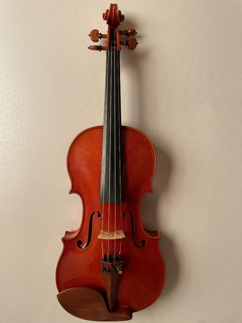 ピグマリウス DX-118 4/4サイズ 駒調整済み