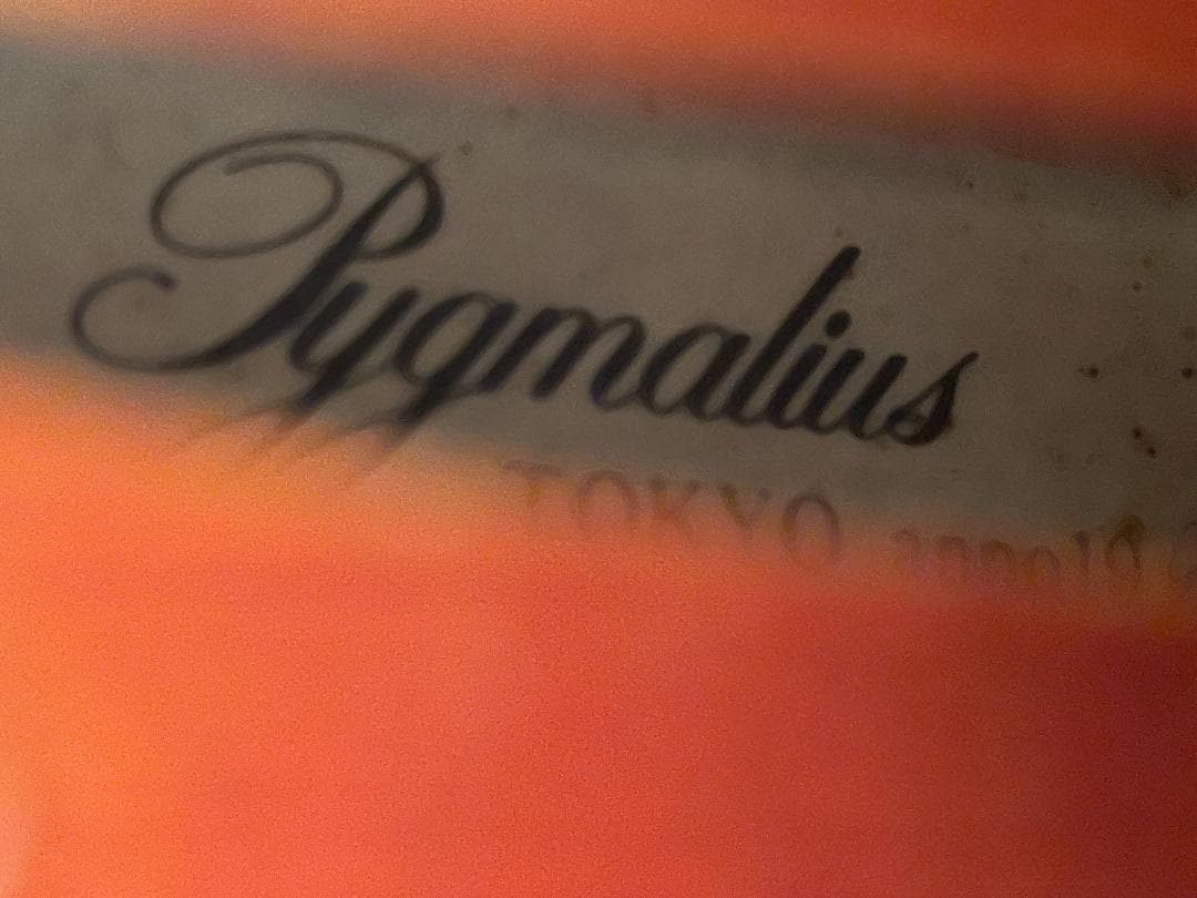 ピグマリウス DX-118 4/4サイズ 駒調整済み