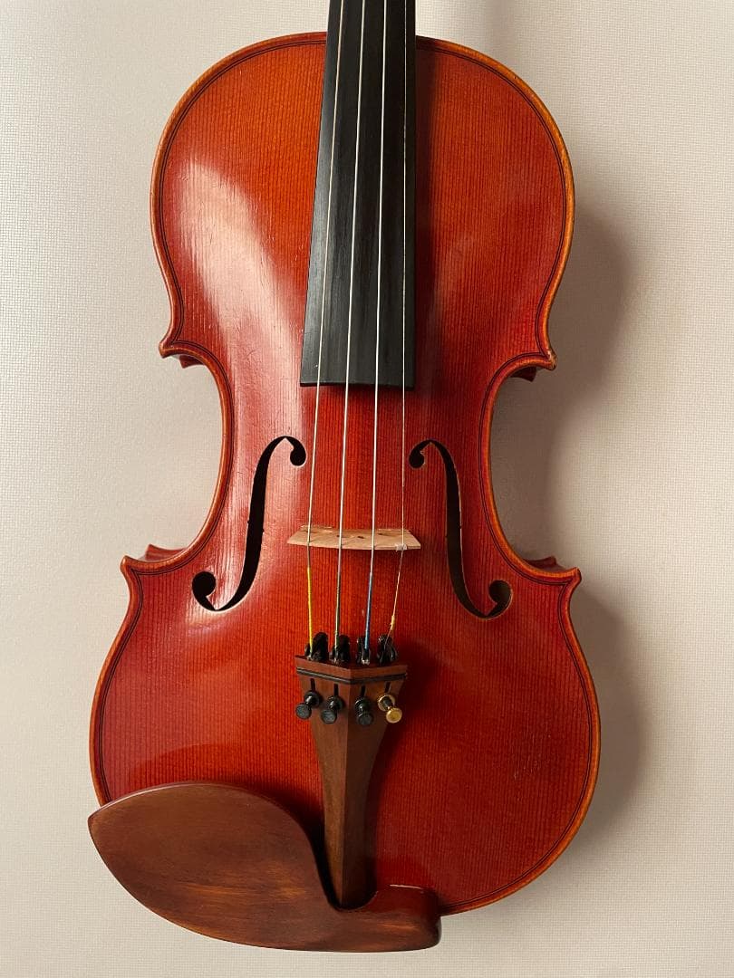 ピグマリウス DX-118 4/4サイズ 駒調整済み