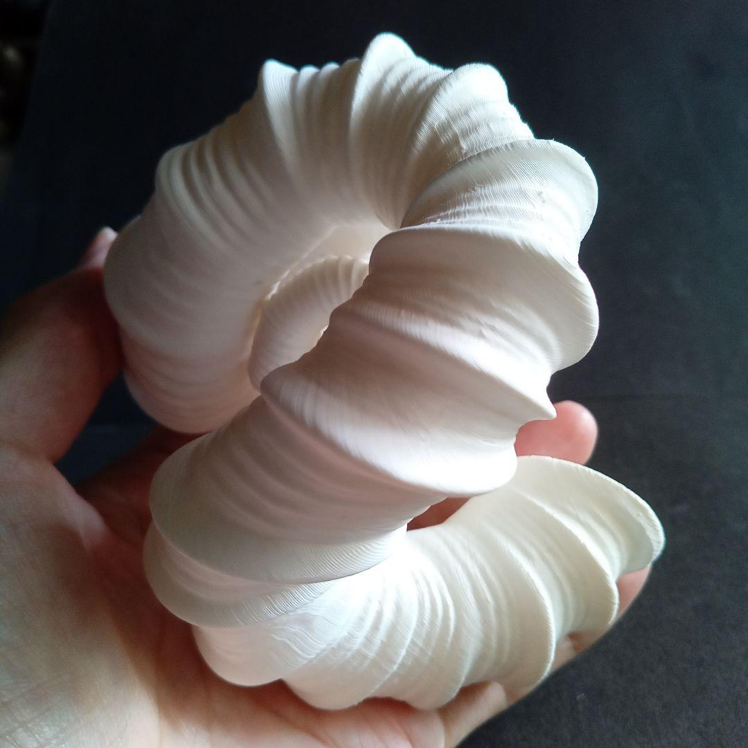 異常巻きアンモナイト　ニッポニテス　３Ｄモデル