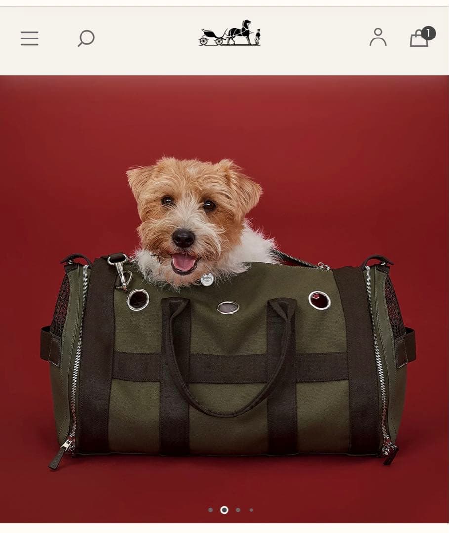 エルメス　犬用キャリーバック