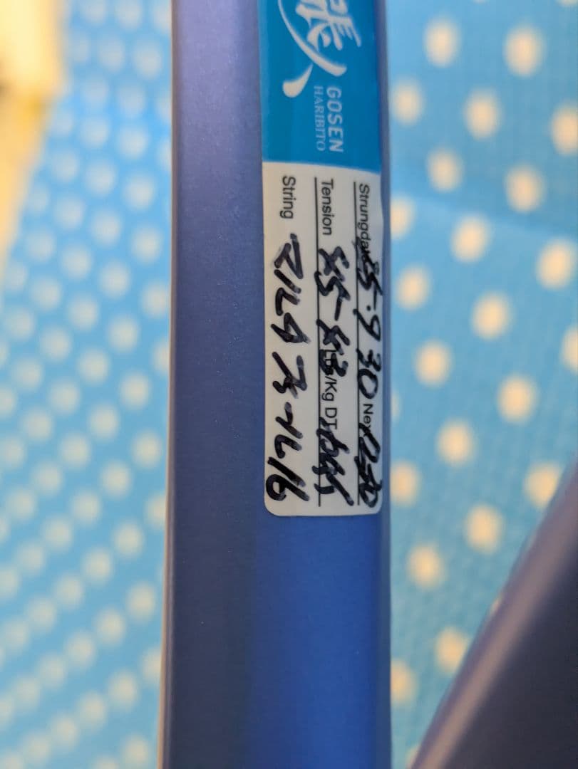 ヨネックス EZONE98、2025年、G2