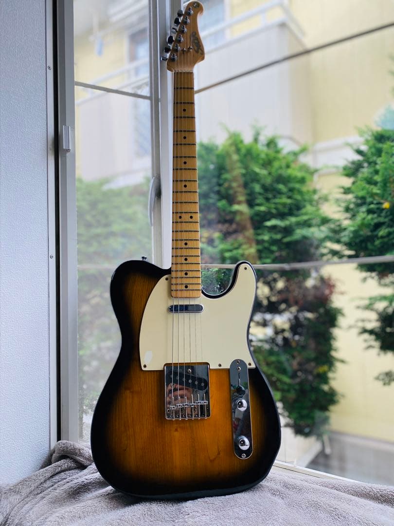 ギターSelva Telecastder