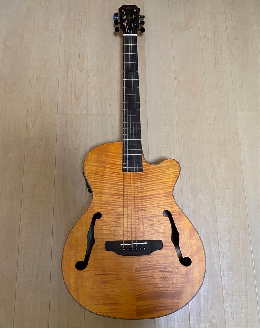 ARIA アリア FET-F2 STBR エレアコ