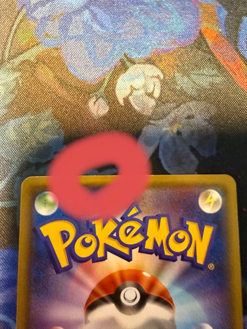 グズマSR2枚セット　未鑑定