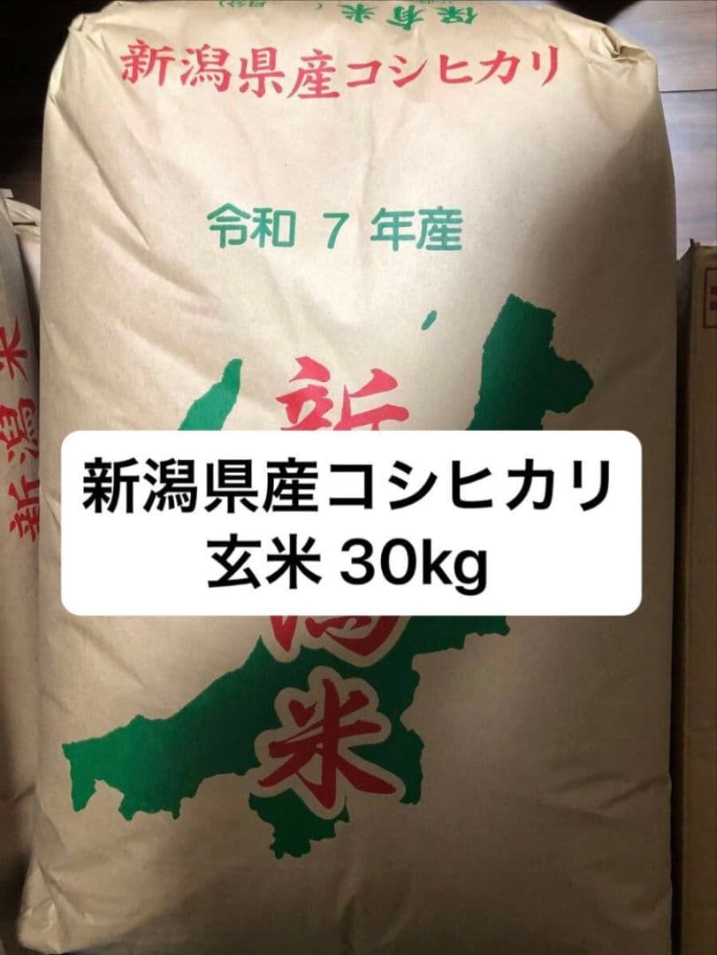 新潟県産 コシヒカリ 玄米 30kg