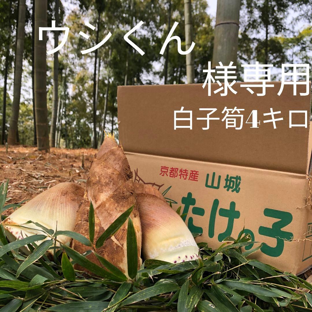 ウシくん　白子筍4キロクール