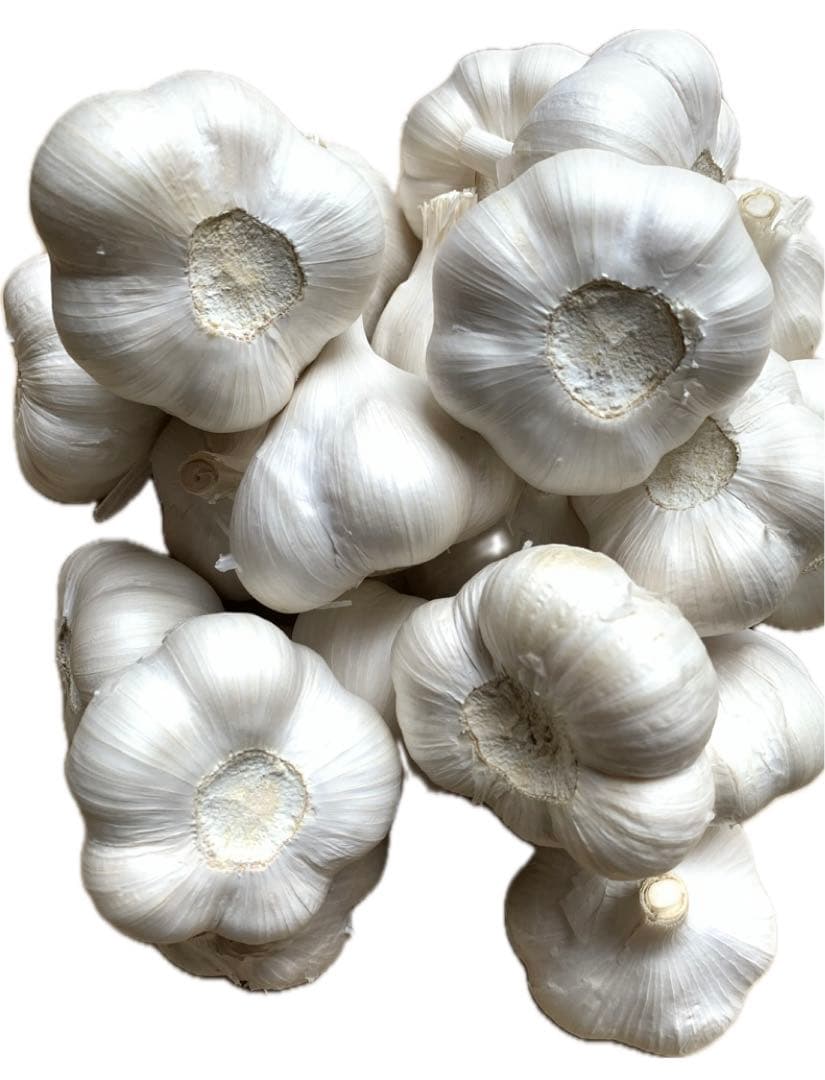 にんにく最高級にんにく10キロ　2Lサイズ青森県産にんにくホワイト六片種にんにく
