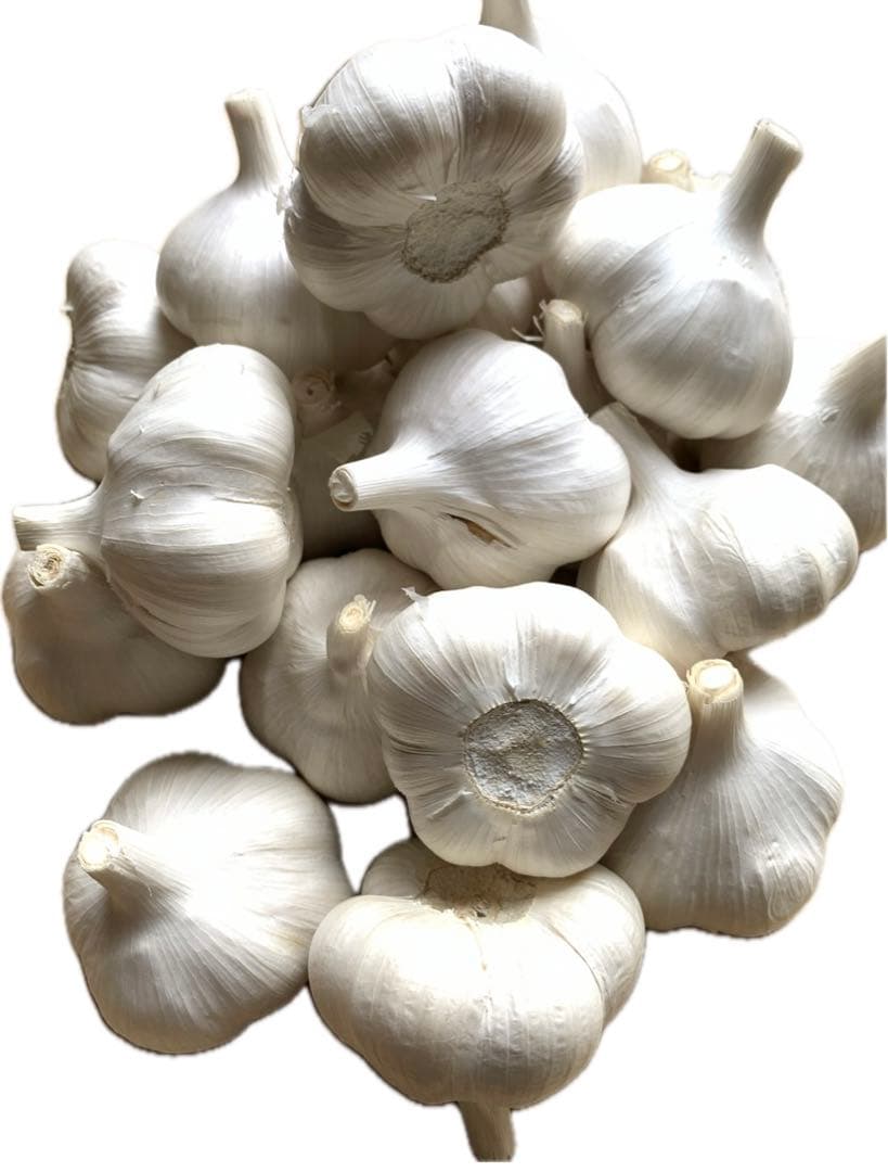 にんにく最高級にんにく10キロ　2Lサイズ青森県産にんにくホワイト六片種にんにく