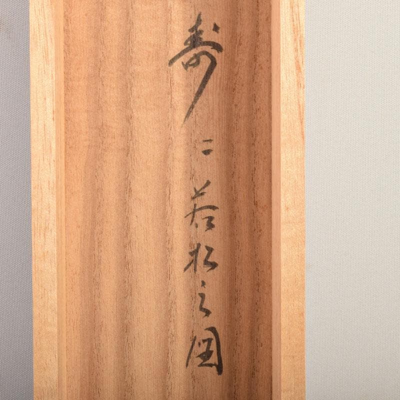 掛軸　前大徳　大橋香林筆　「寿に若松の図」　紫野　細合喝堂識箱　C　6852A